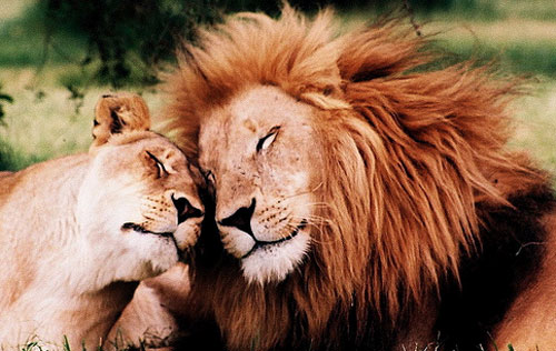 the-queen-and-king.jpg