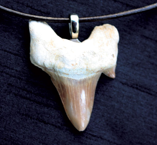 luke-tooth.jpg