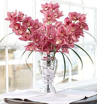orchids.jpg