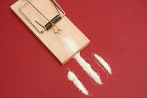 sugar-trap.jpg