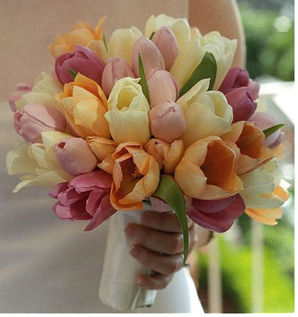 tulips.jpg