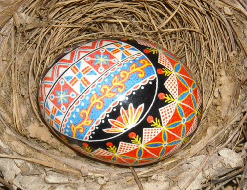 egg-in-nest.jpg