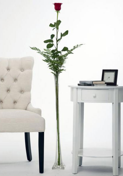 single-6-foot-rose.jpg