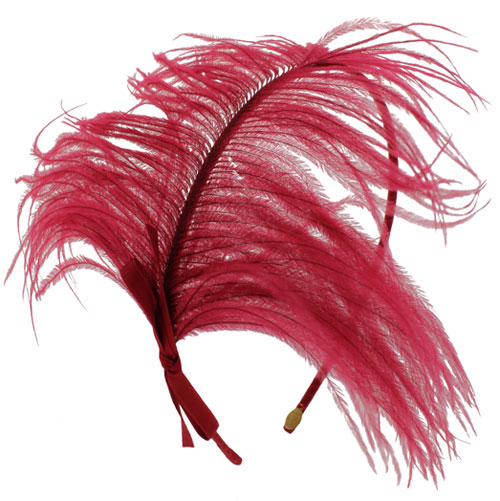 jen-ouellette-ostrich-band.jpg