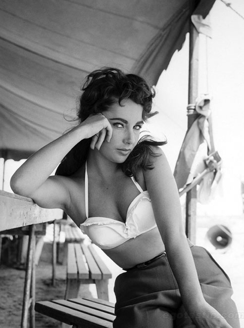 liz-2.jpg