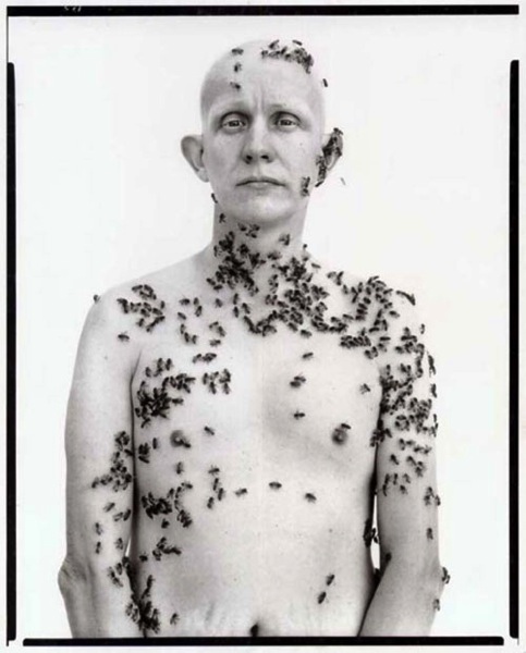 bee-keeper.jpg Bee keeper