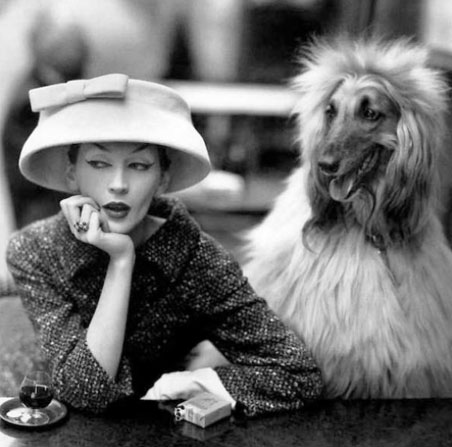 dovima-and-dog.jpg Dovima and dog