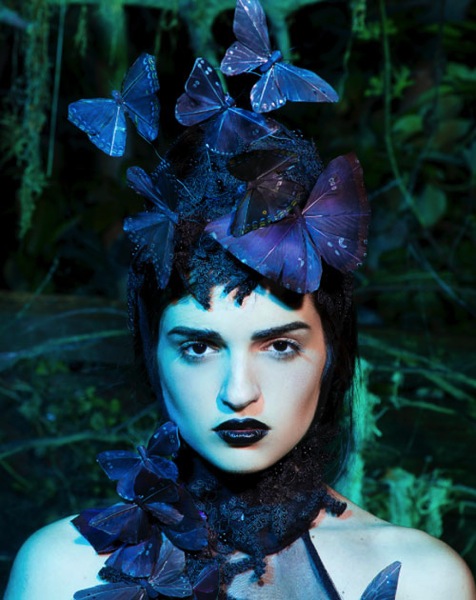 dark-butterflies.jpg Dark butterflies