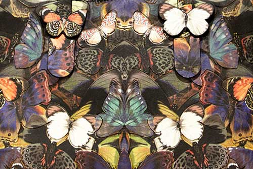 valentino-butterfly-tote.jpg Valentino butterfly tote