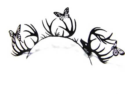 Butterfly lashes 1